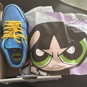 Nike SB Powerpuff Girls tennis shoes
